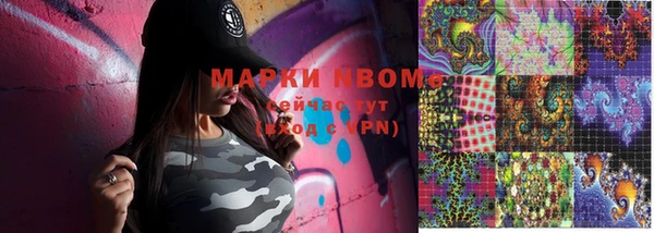 стаф Каменка