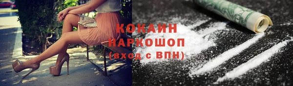 стаф Каменка